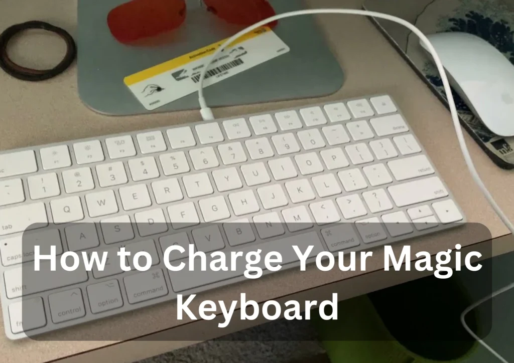 How to Charge Your Magic Keyboard